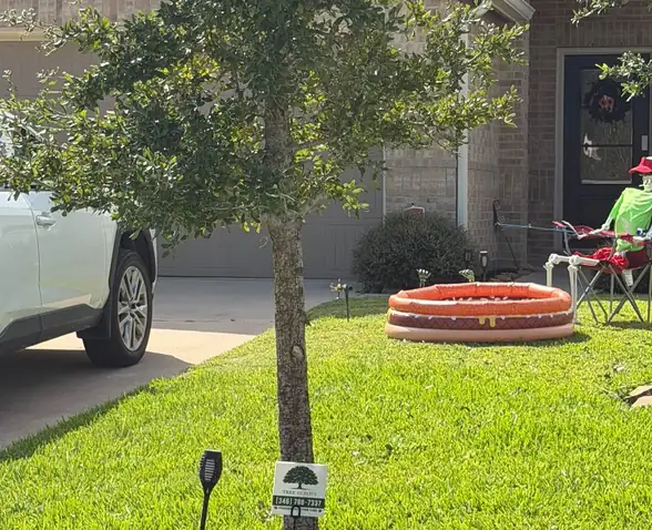 Young tree with a Tree Heroes yard sign and mulch ring